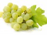 17_grapes