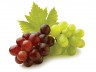 19_grapes