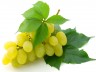 21_grapes
